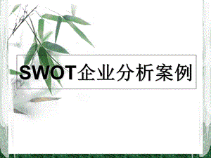 wot企业分析案例.ppt