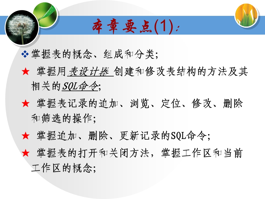 VFP第三章表达使用.ppt_第2页