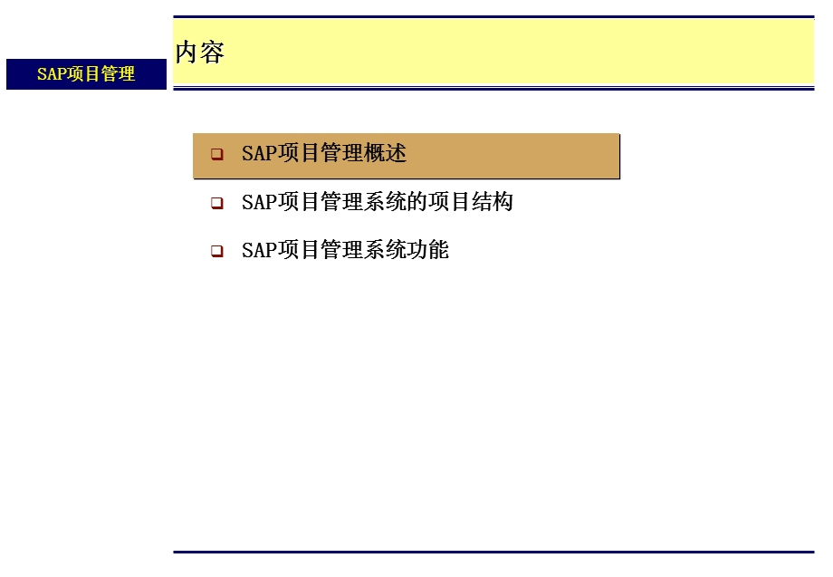 SAP项目管理模板.ppt_第2页