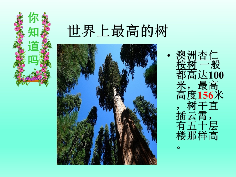 《植物茎的输导功能》.ppt_第1页