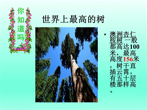 《植物茎的输导功能》.ppt