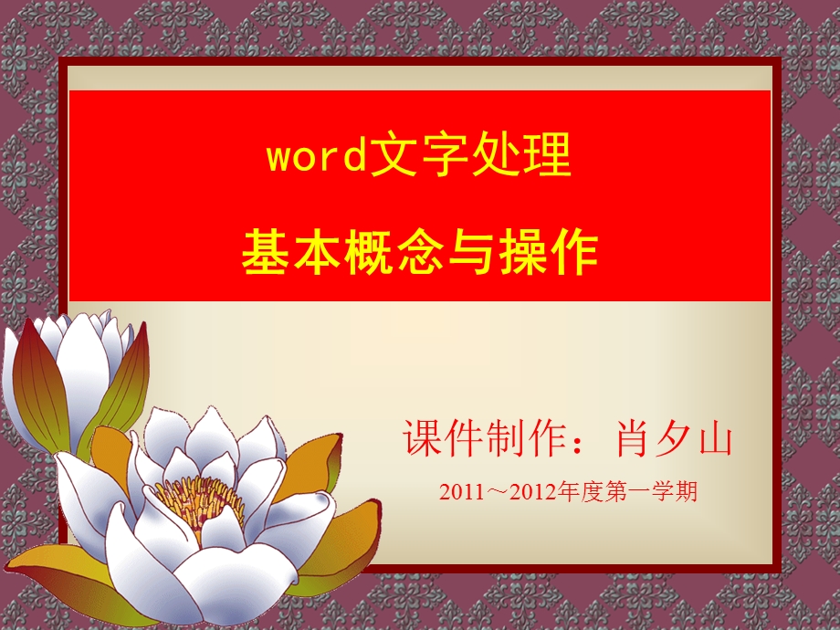 word文字处理基本概念与操作.ppt_第1页