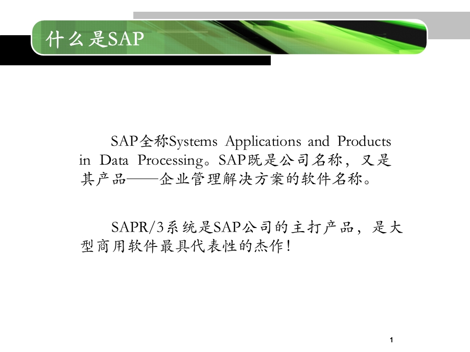 SAP-ERP二次开发语言ABAP简介.ppt_第2页