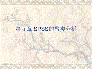 SPSS的聚类分析.ppt