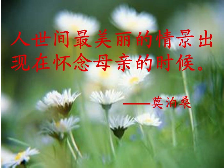 《我的母亲胡适》课件.ppt_第2页