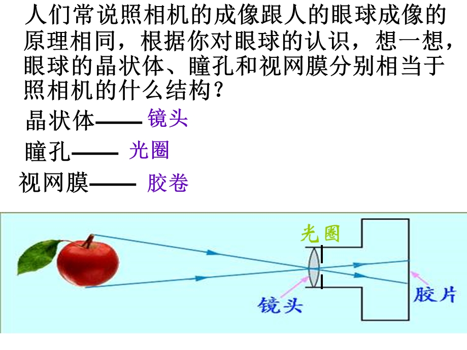 《人体生命活动的调节复习课》.ppt_第3页