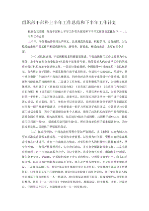 组织部干部科上半年工作总结和下半年工作计划.docx