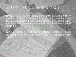 SQLServer的程序设计.ppt