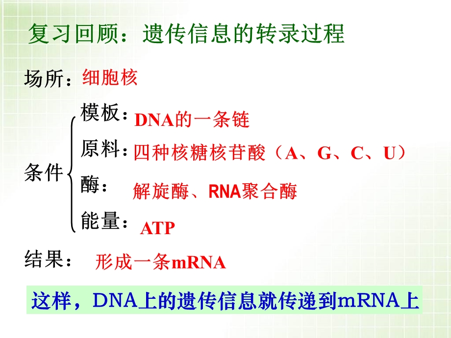 《遗传信息的翻译》教学.ppt_第2页