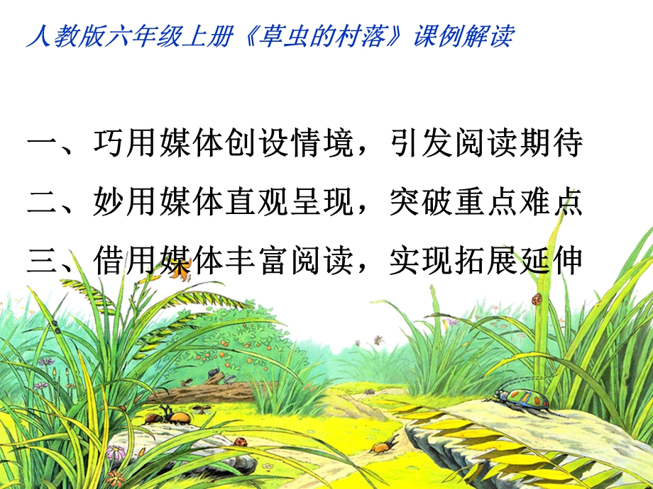 《草虫的村落》说课课件.ppt_第2页