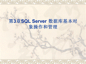 SQLServer数据库基本对象操作和管理.ppt