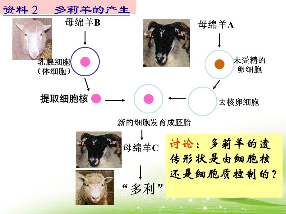 《细胞核-系统的控制中心》教学.ppt_第3页