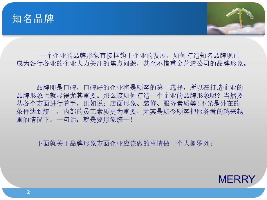 VI系统及品牌推广计划.ppt_第2页