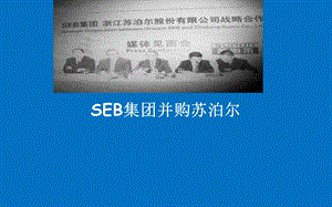 SEB集团并购苏泊尔.ppt