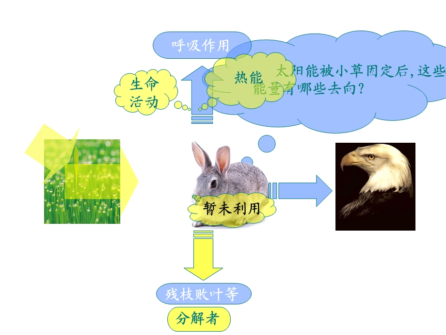 《生态环境的稳态》课件4(苏教版).ppt_第3页