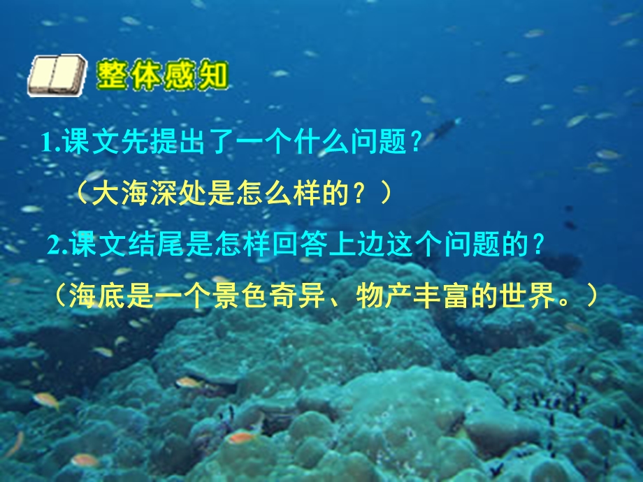 《海底世界》课件(苏教版三年级语文下册课件).ppt_第3页