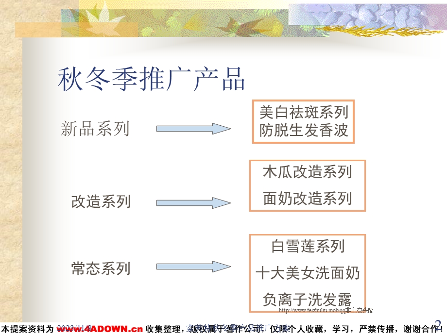 SOFTTO产品推广方案.ppt_第2页