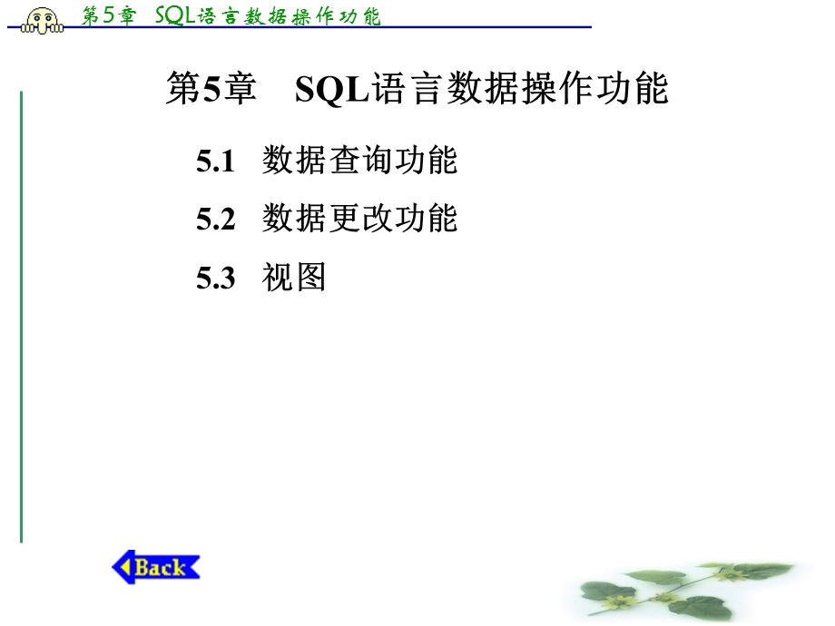 SQL数据操作功能 (2).ppt_第1页