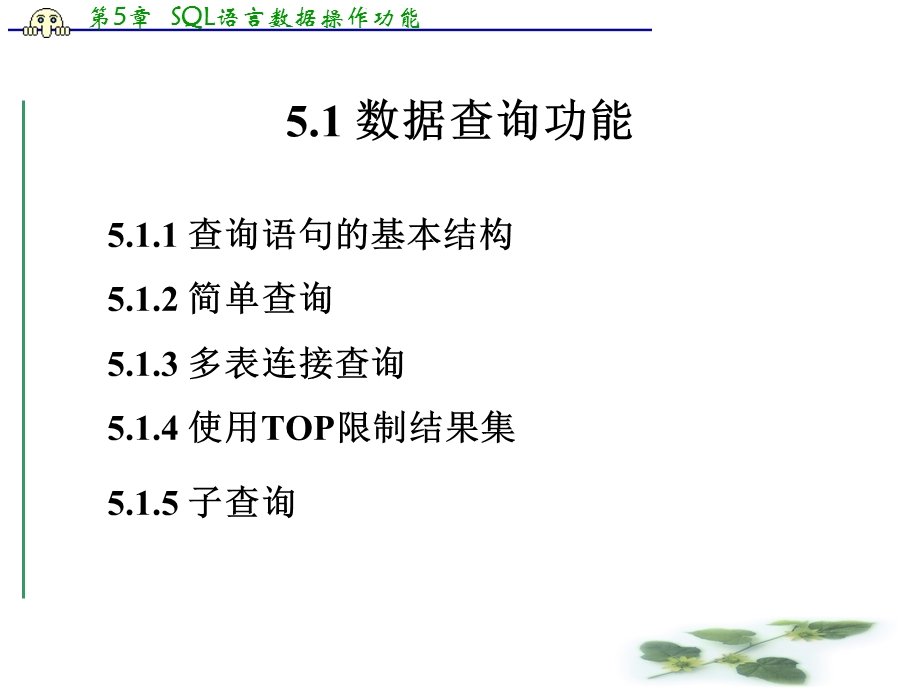 SQL数据操作功能 (2).ppt_第2页