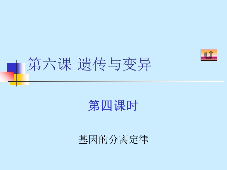 《基因的分离定律》.ppt_第1页