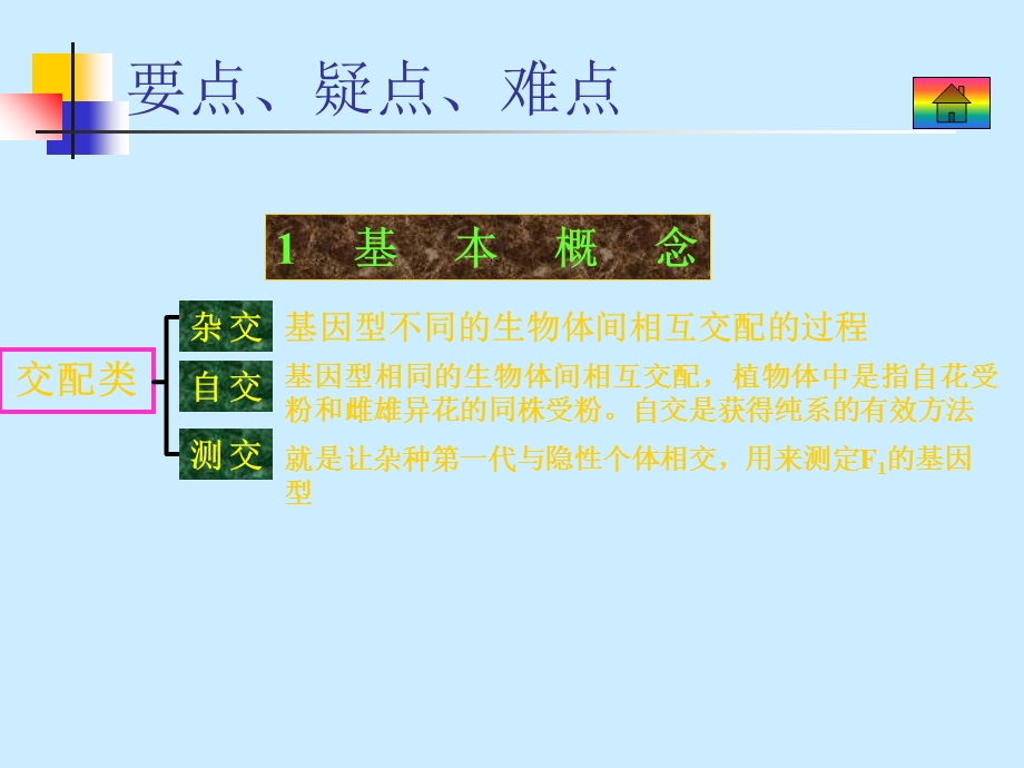 《基因的分离定律》.ppt_第2页