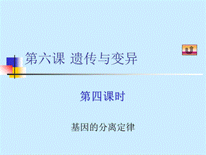 《基因的分离定律》.ppt