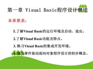 vb初级编程教程第一章.ppt