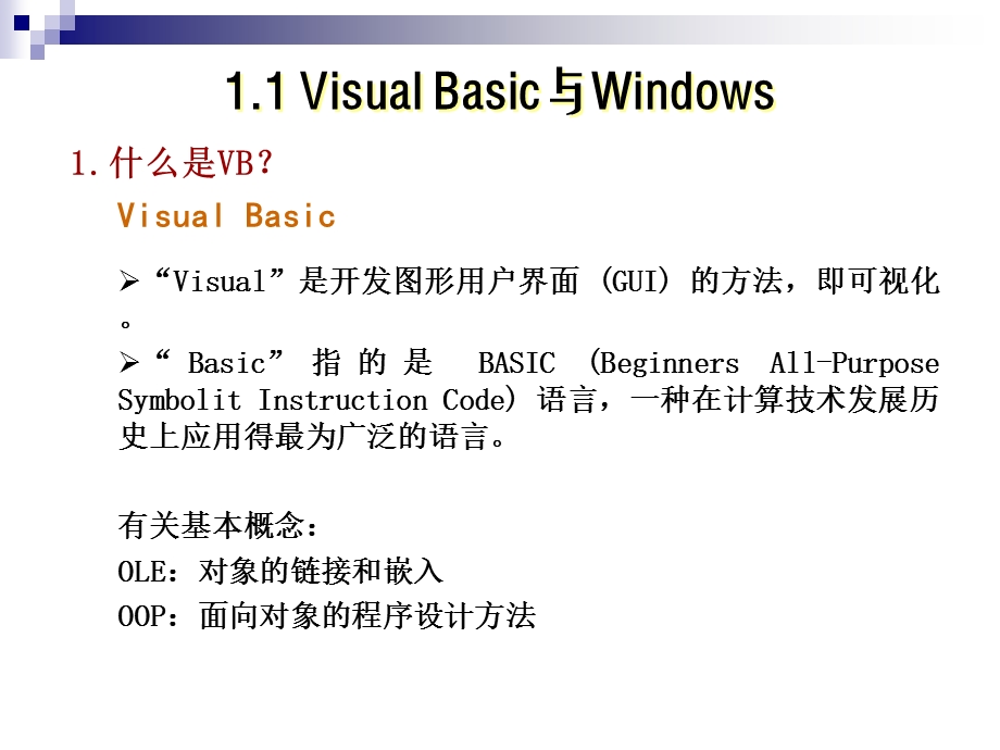 VisualBasic导论.ppt_第2页
