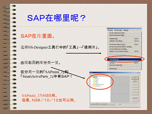 SAP的使用方法N.ppt