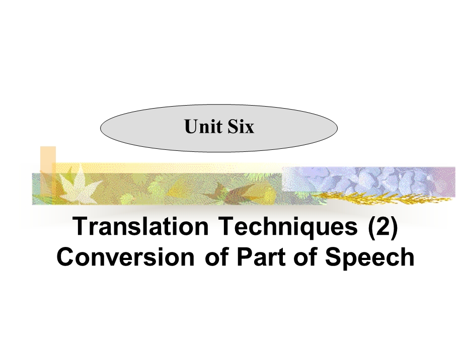 Unit6翻译技巧-词类转换法.ppt_第1页