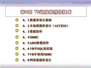 VB数据库编程技术.ppt