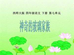 《神奇的玻璃家族》课件(西师大版小学语文四年级下册课件).ppt