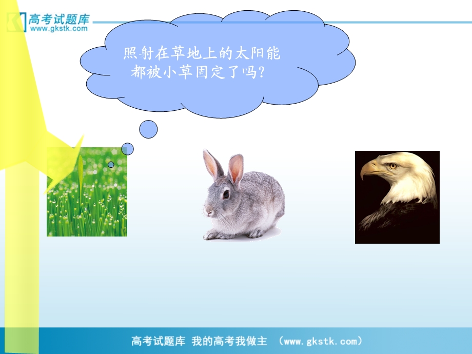 《生态环境的稳态》课件苏教版.ppt_第2页