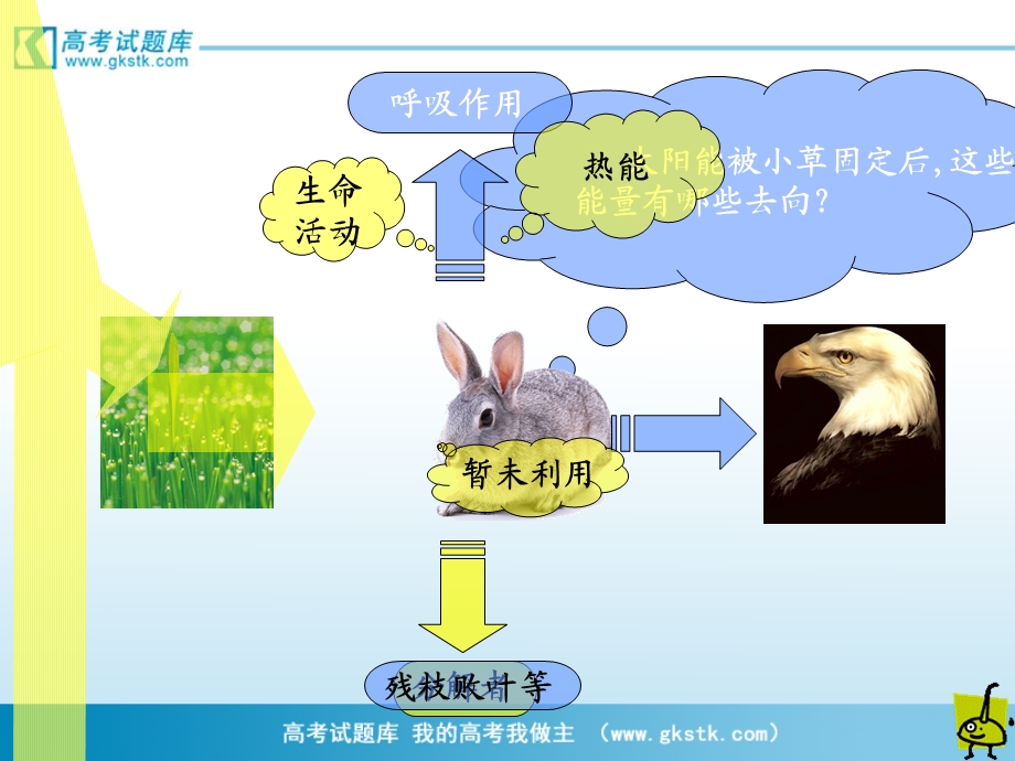 《生态环境的稳态》课件苏教版.ppt_第3页