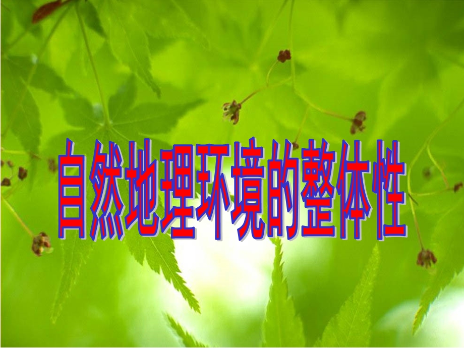 《自然地理环境的整体性》.ppt_第1页