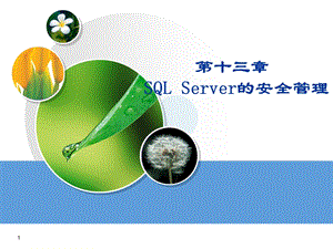 SQLServer的安全管理.ppt