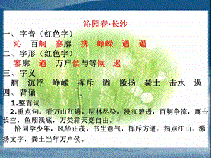 《总复习》课件2(苏教版必修一).ppt