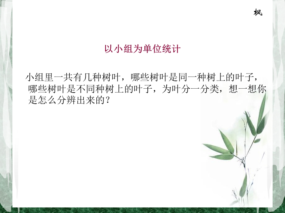 《植物的叶》教学课件.ppt_第2页