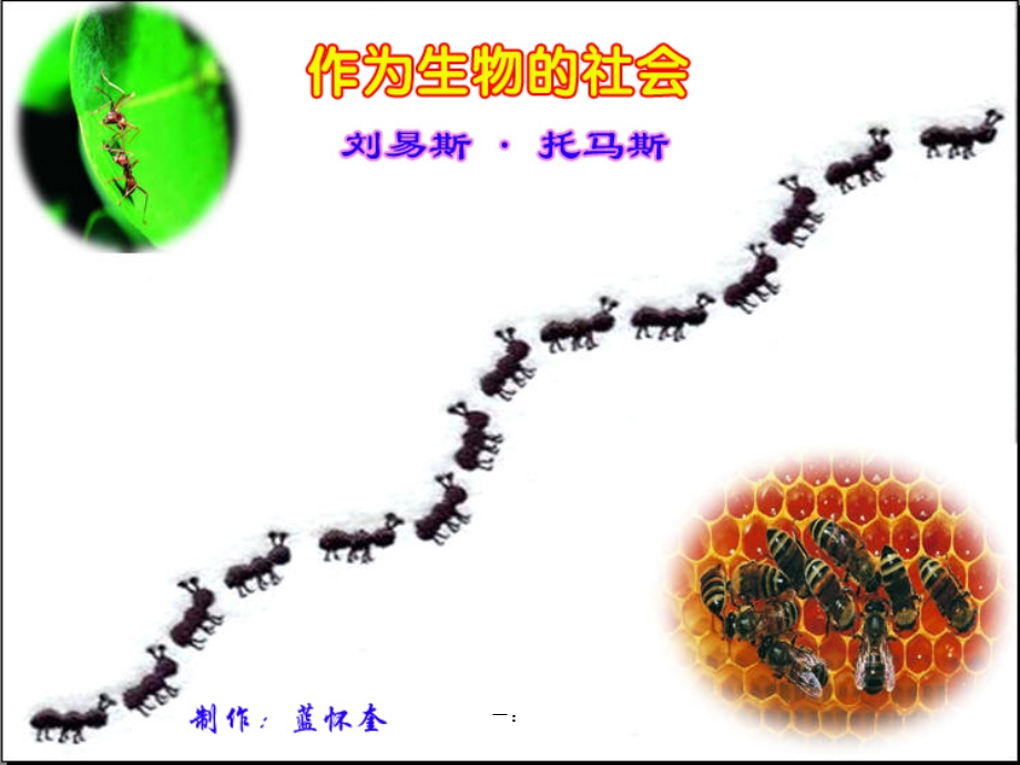 《作为生物的社会》上.ppt_第1页