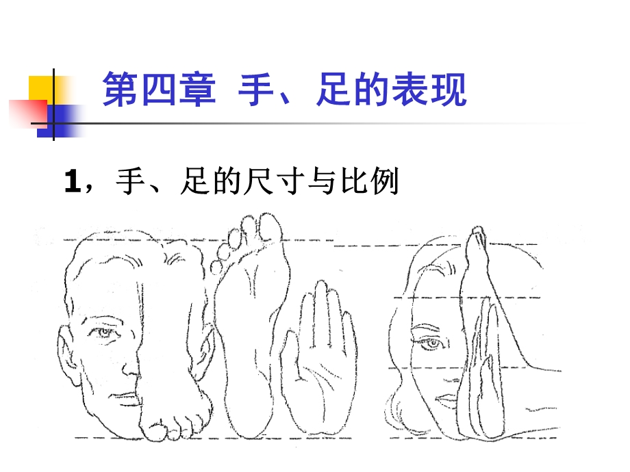 《动画造型设计》之手足的表现.ppt_第2页