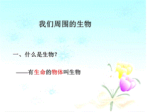 《我们周围的生物》.ppt