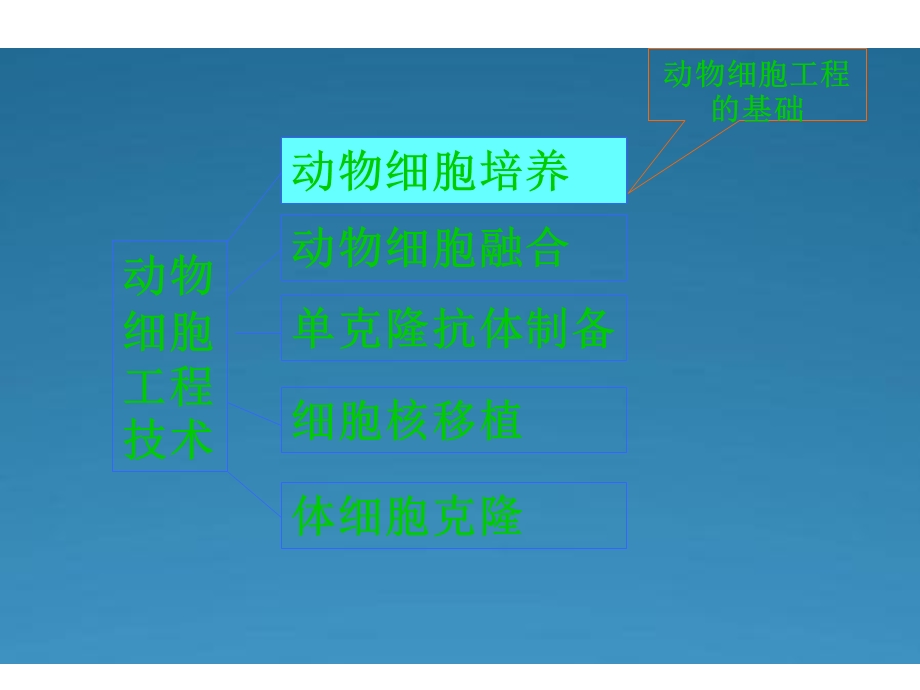 《动物细胞工程》课件(新人教版).ppt_第3页