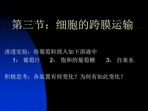 (苏教版)第三章3：细胞的跨膜运输.ppt