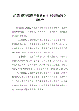 2023新提拔区管领导干部延安精神专题培训心得体会.docx