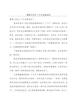 暑假大学生三下乡实践总结.docx