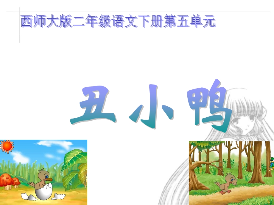 《丑小鸭》课件(西师大版小学语文二年级下册课件).ppt_第1页