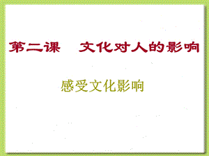 《文化生活》学习课件：2.1感受文化影响.ppt