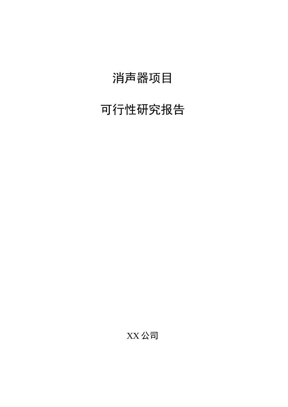 消声器项目可行性研究报告（模板范文）.docx_第1页