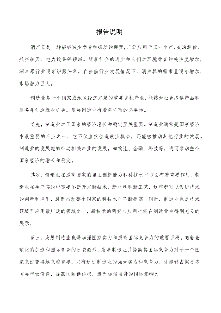 消声器项目可行性研究报告（模板范文）.docx_第2页