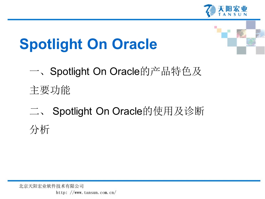 Spotlightonoracle的使用与分析.ppt_第2页